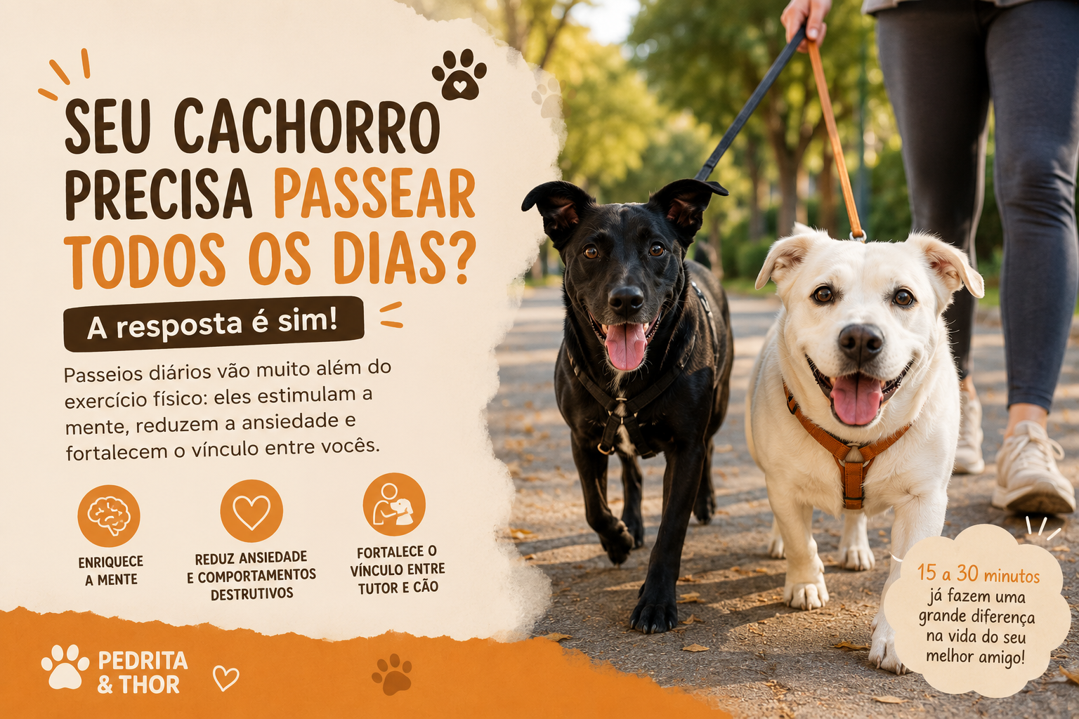 Seu cachorro precisa passear todos os dias?