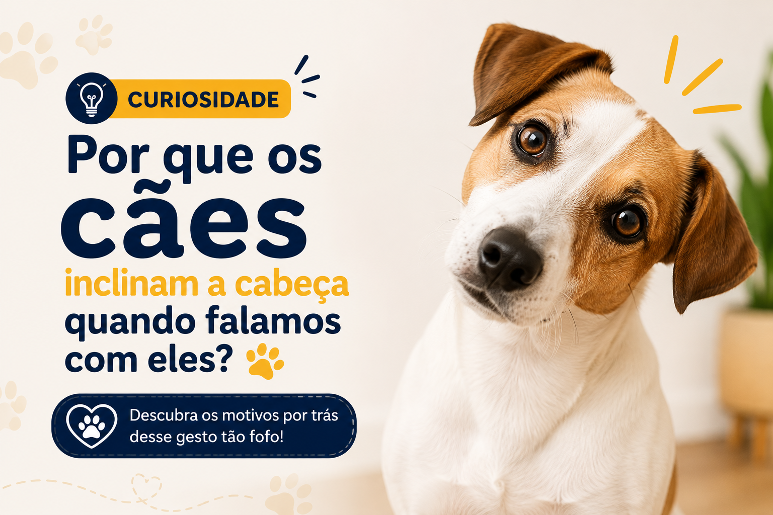 Curiosidade: por que os cães inclinam a cabeça quando falamos com eles? 🐶
