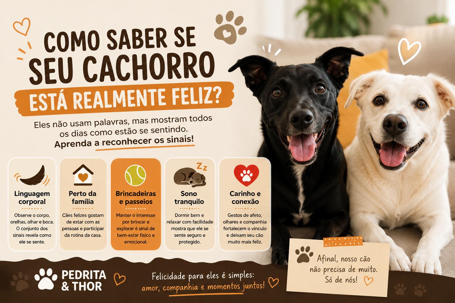 Como saber se o seu cachorro está realmente feliz?